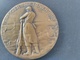 Médaille Yser "on Ne Passe Pas". Attribuée Flamande. Superbe - 1914-18