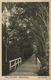 Suriname, PARAMARIBO, Cultuurtuin, Gardens (1910s) Postcard - Suriname