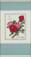 China - Volksrepublik: 1964, Peony S/s, Unused No Gum As Issued (Michel Cat. 3000.-). - Autres & Non Classés