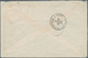 Japan - Besonderheiten: 1876, FRANCE Used ABROAD, 2 X 10 C Brown On Rose And 80 C Rose Cérès, Tied B - Sonstige & Ohne Zuordnung