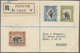 Nordborneo: 1937 (17.8.), Pictorial Definitives 12c. Palm, Cockatoo, 6c. Sumatran Rhinoceros And 5c. - Nordborneo (...-1963)