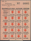 Delcampe - Thematik: Rotes Kreuz / Red Cross: 1943/44 2 Vordruckumschläge Des Neuseel. RK-/St.Johns-Orden, Eine - Croix-Rouge