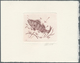 Thematik: Tiere-Fische / Animals-fishes: 1990, Belgium. Epreuve D'artiste Signée In Reddish-brown Fo - Poissons