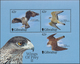 Thematik: Tiere-Greifvögel / Animals-birds Of Prey: 2000, Gibraltar, Birds Of Prey, Souvenir Sheet, - Eagles & Birds Of Prey