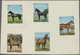 Thematik: Tiere-Pferde / Animals-horses: 1972, Schardscha / Sharjah, Horses, Complete Set Of Five Va - Chevaux