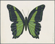 Thematik: Tiere-Schmetterlinge / Animals-butterflies: 2001, SAO TOME E PRINCIPE: Native BUTTERFLY (P - Papillons