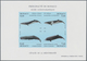 Thematik: Tiere-Meeressäuger (u.a. Wale) / Animals-aquatic Mammals: 1992/1994, MONACO: Whales And Do - Autres & Non Classés