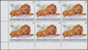 Delcampe - Thematik: WWF: 1983, BURUNDI: African Wildlife Complete Set Of 13 From 2fr. To 85fr. (Lion, Giraffe, - Autres & Non Classés