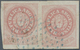 Argentinien: 1862 5c. Rose, No Accent, Horizontal Pair With Shifted Clichés, Used In SANTA FEE And C - Autres & Non Classés