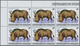 Burundi: 1983, African Wildlife Complete Set Of 13 From 2fr. To 85fr. (Lion, Giraffe, Rhinoceros, El - Autres & Non Classés