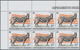 Delcampe - Burundi: 1983, African Wildlife Complete Set Of 13 From 2fr. To 85fr. (Lion, Giraffe, Rhinoceros, El - Other & Unclassified