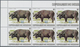 Delcampe - Burundi: 1983, African Wildlife Complete Set Of 13 From 2fr. To 85fr. (Lion, Giraffe, Rhinoceros, El - Sonstige & Ohne Zuordnung