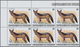 Delcampe - Burundi: 1983, African Wildlife Complete Set Of 13 From 2fr. To 85fr. (Lion, Giraffe, Rhinoceros, El - Sonstige & Ohne Zuordnung