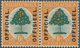 Südafrika - Dienstmarken: 1926, Orange Tree 6d. Green/orange Horizontal Pair In Different Languages - Timbres De Service