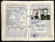 Reisepass Österreich, 2 Stück, Ehepaar, 1953, 1963, Ahnenpass Und Blutblatt - Historische Documenten