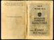 Delcampe - Reisepass Österreich, 2 Stück, Ehepaar, 1953, 1963, Ahnenpass Und Blutblatt - Historical Documents