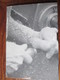 Delcampe - Catalogue De Conseils Pour Le Tournage Du BOIS -  INCA Sarl  FRAIZE. 88 - Luna AB Alingsäs Suède - 28 Pages  - 14 Photos - Matériel Et Accessoires