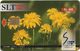 Sri Lanka - SLT - Marigold Flower - 800₨, No Serial - Sri Lanka (Ceylon)