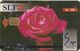 Sri Lanka - SLT - Red Rose Flower - 300₨, No Serial - Sri Lanka (Ceylon)