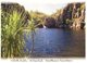 (900) Australia - (with Stamp At Back Of Card) NT - Edith Falls - Zonder Classificatie