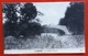 S.ROSSORE   IL PONTE ROSSO  1906 - Pisa