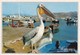 Postcard Greece Mykonos The Pelican Petro My Ref  B23103 - Greece