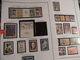 Delcampe - ENORME COLLECTION FRANCE + 200 PAGES  / + 2000 TIMBRES Des CLASSIQUES AUX MODERNES / A SAISIR - Collections