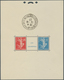 Frankreich: 1927, Blockausgabe 'Ausstellung Strasbourg' (110 X 139 Mm) Mit Ausstellungs-Sonderstempe - Andere & Zonder Classificatie