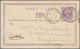 Großbritannien - Stempel: 1873, "Sloper Punch" Machine Cancel On 1/2 D Violet QV Psc From London Add - Marcofilie