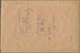 Irland - Ganzsachen: Electricity Supply Board: 1966, 5 D. Violet Envelope On Blurred Brown Wrapping - Postwaardestukken