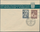 Jugoslawien: 1941, 1st Stamp Exhibition, Slavonski Brod: 2 Values On FIRSTDAY COVER, Canceled By Spe - Gebruikt