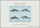 Monaco: 1992/1994, Whales And Dolphins Set Of Three Different IMPERFORATE Miniature Sheets, Mint Nev - Ongebruikt
