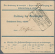 Bayern - Dienstmarken: 1916, Dienstmarken 20 Pfg. Dunkelblau Im Tadellosen Waagerechten Paar Als Por - Altri & Non Classificati