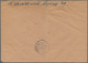 Bizone: 1945, AM-Post 80 Pf. Deutscher Druck Zusammen Mit 3, 5 Und 20 Pfg. Auf Orts-R-Brief "HAMELN - Altri & Non Classificati