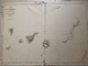 Carte Marine Charts Map. "Iles Canaries". 1838 Correction 1852. 97cm/68cm Robiquet - Cartes Marines