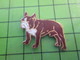 210B Pin's Pins / Beau Et Rare : Thème ANIMAUX : SUPERBE CHIEN BLANC ET MARRON BOULEDOGUE - Football