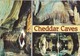 Postcard Cheddar Caves Somerset My Ref  B23114 - Cheddar