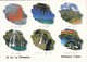 5 Belles Cartes Postales Neuves De  LA REUNION: Ed. Noor Akhoum Vues Diverses, Voir Les Scans - Autres & Non Classés