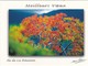 Lot De 8 Belles Cartes Postales Neuves De  LA REUNION: Ed. Noor Akhoum Vues Diverses, Voir Les Scans - Autres & Non Classés