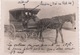 Photo Ancienne ( Carte Postale ) : Attelage   , Voiture à Cheval De 1896 - Attelages
