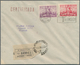 Delcampe - Argentinien: 1940/1950 (ca.), Accumulation Of Apprx. 130 Covers And Cards, Comprising Many F.d.c. In - Other & Unclassified