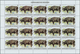 Delcampe - Burundi: 1982, African Wildlife Complete Set Of 13 From 2fr. To 85fr. (Lion, Giraffe, Rhinoceros, El - Autres & Non Classés