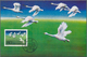 China - Volksrepublik: 1982/2012 (ca.), Balance Comprising More Than 80 Philatelic Covers/cards Plus - Autres & Non Classés
