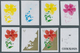 Delcampe - Cook-Inseln: 1966 - 1990, Riesige Sammlung Von PHASENDRUCKEN Der Ausgaben Der Cook Inseln Aus Mi. 12 - Cook