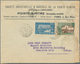 Delcampe - Guadeloupe: 1905/1990 (ca.), Mint And Used Collection On Stockpages, Incl. Apprx. 30 Covers/statione - Nuevos