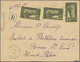 Delcampe - Guadeloupe: 1905/1990 (ca.), Mint And Used Collection On Stockpages, Incl. Apprx. 30 Covers/statione - Nuevos