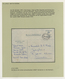 Delcampe - Israel: 1947/1994, GAZA/SINAI/WESTBANK/ARAB-ISRAELI WAR, Assortment Of Apprx. 130 Covers Referring T - Lettres & Documents