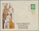 Israel: 1949/1959, Holding Of Apprx 210 Covers/cards/used Stationeries, Comprising Commercial And Ph - Lettres & Documents