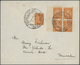 Delcampe - Israel: 1949/1959, Holding Of Apprx 210 Covers/cards/used Stationeries, Comprising Commercial And Ph - Lettres & Documents