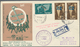 Delcampe - Israel: 1949/1970 (ca.), SHIP MAIL/NAVAL SLOGAN POSTMARKS/PAQUEBOT/CACHETED ENVELOPES/PICTORIAL STAT - Lettres & Documents